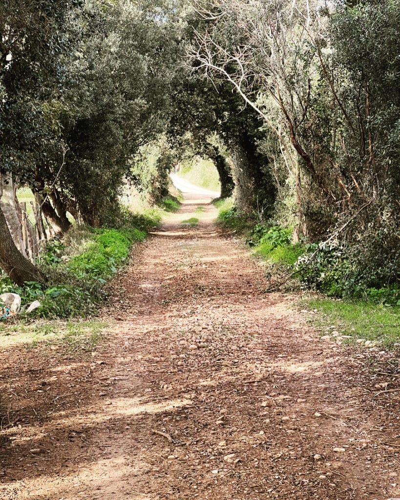 dirt road outside Ullaro