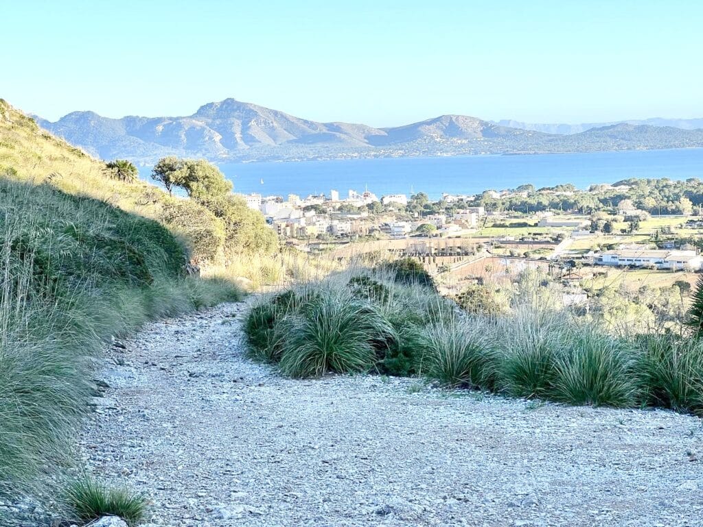 View from Coll de Siller