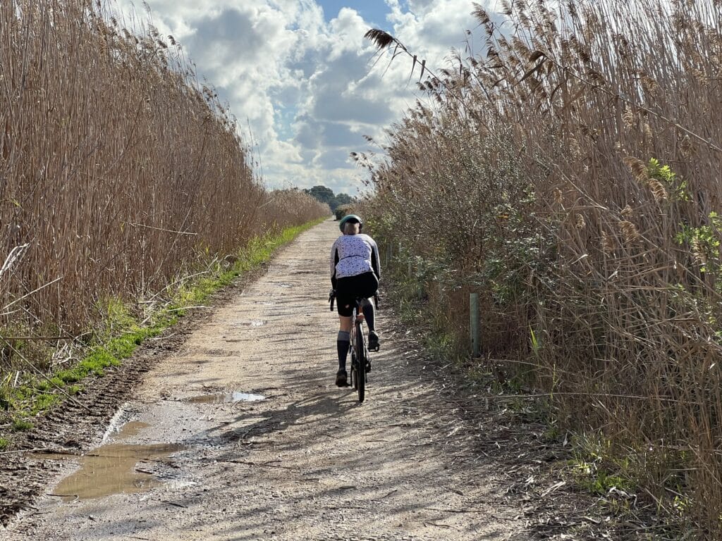 bike riding in Albufera park