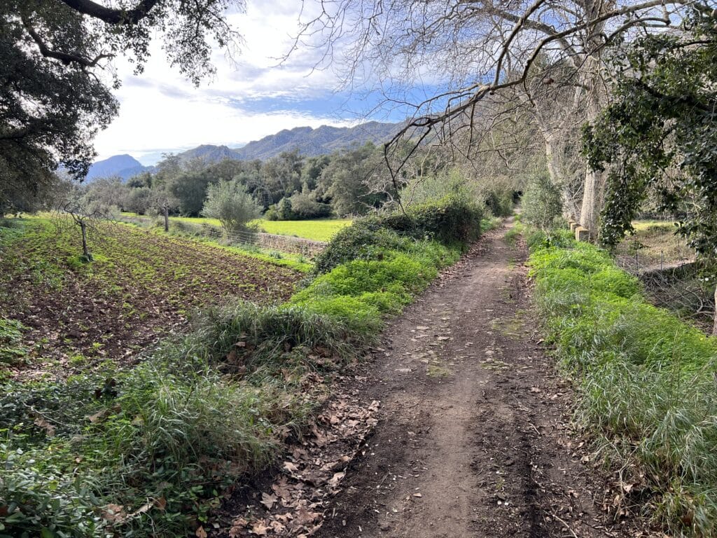 sant vicenc gravel road