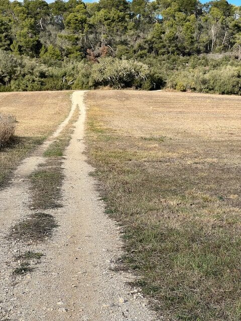 Scenic dirt road in Mallorca