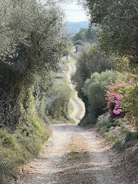 Gravel Road with Flowers in Spain